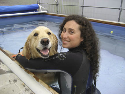 Golden Retriever ©randyproductions.com